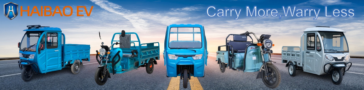 Quattro Wheeler Electric Car