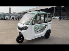 triciclo elettrico del triciclo del passeggero 800W degli adulti della ruota elettrica del passeggero 3