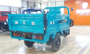 Electric Charging Electric Tricycle Truck Electric Transport Tricycle Delivery Cargo
